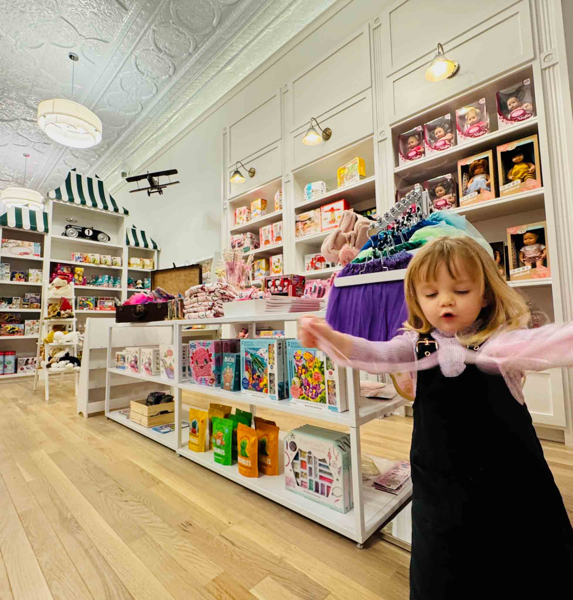 Wishing Well Play Co. — toy store in Humboldt